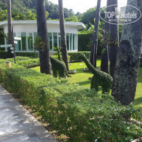 фото из отзыва ID 1661260