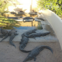 фото из отзыва ID 1661334