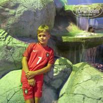 фото из отзыва ID 1661372