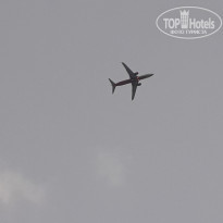 фото из отзыва ID 1661472