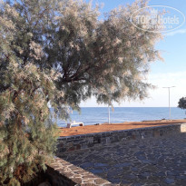 фото из отзыва ID 1661472