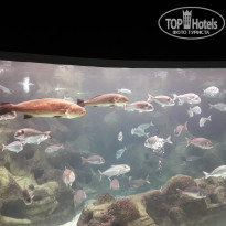 фото из отзыва ID 1661472