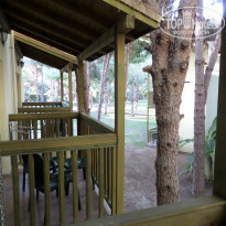 фото из отзыва ID 1661561