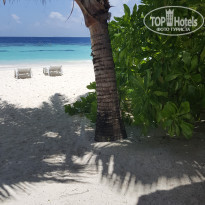 фото из отзыва ID 1661563