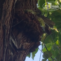 фото из отзыва ID 1661563