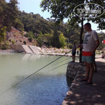 фото из отзыва ID 1661565