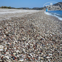 фото из отзыва ID 1661771