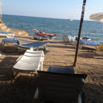 фото из отзыва ID 1661813