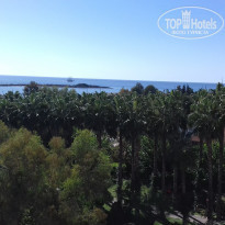 фото из отзыва ID 1661893