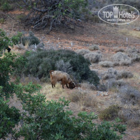 фото из отзыва ID 1661952