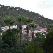 фото из отзыва ID 1661999