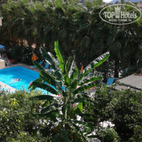 фото из отзыва ID 1661750