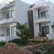 фото из отзыва ID 1662087