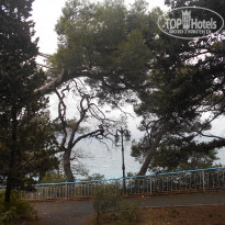 фото из отзыва ID 1662197