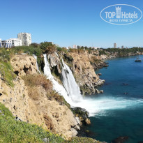 фото из отзыва ID 1662403