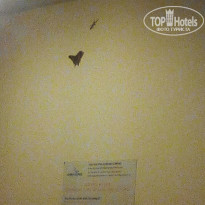 фото из отзыва ID 1662519