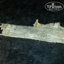 фото из отзыва ID 1662624