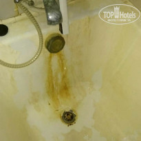 фото из отзыва ID 1662709