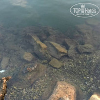 фото из отзыва ID 1662709