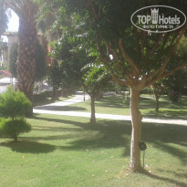 фото из отзыва ID 1662781