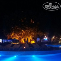 фото из отзыва ID 1662781