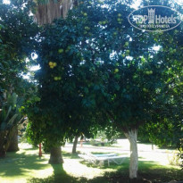 фото из отзыва ID 1661556