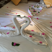 фото из отзыва ID 1662893