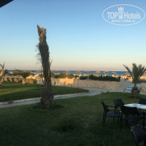 фото из отзыва ID 1662893