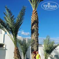 фото из отзыва ID 1662893