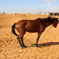 фото из отзыва ID 1662893