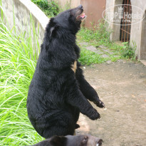 фото из отзыва ID 1663010