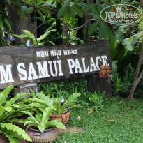 фото из отзыва ID 1663169