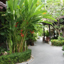 фото из отзыва ID 1663169