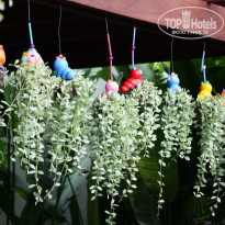 фото из отзыва ID 1663169