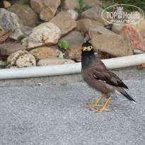 фото из отзыва ID 1663169