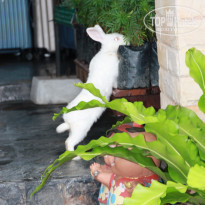 фото из отзыва ID 1663169