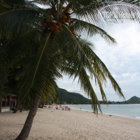 фото из отзыва ID 1663169