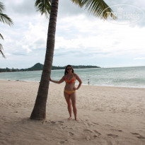 фото из отзыва ID 1663169