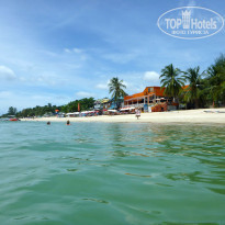 фото из отзыва ID 1663169