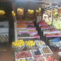 фото из отзыва ID 1663186