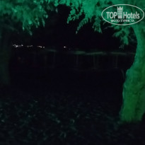 фото из отзыва ID 1663230