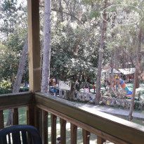 фото из отзыва ID 1663245