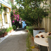 фото из отзыва ID 1663265