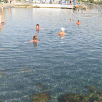 фото из отзыва ID 1663265