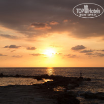 фото из отзыва ID 1663277