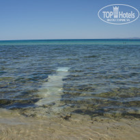 фото из отзыва ID 1663291