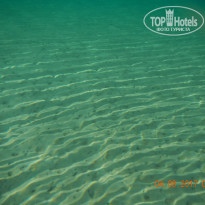 фото из отзыва ID 1663291