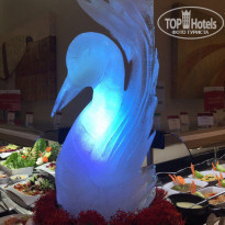 фото из отзыва ID 1663386