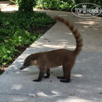 фото из отзыва ID 1663386