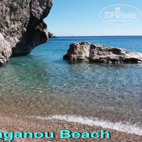 фото из отзыва ID 1663413